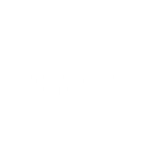 Global Thinkers. Digital Builders. AG Logo2